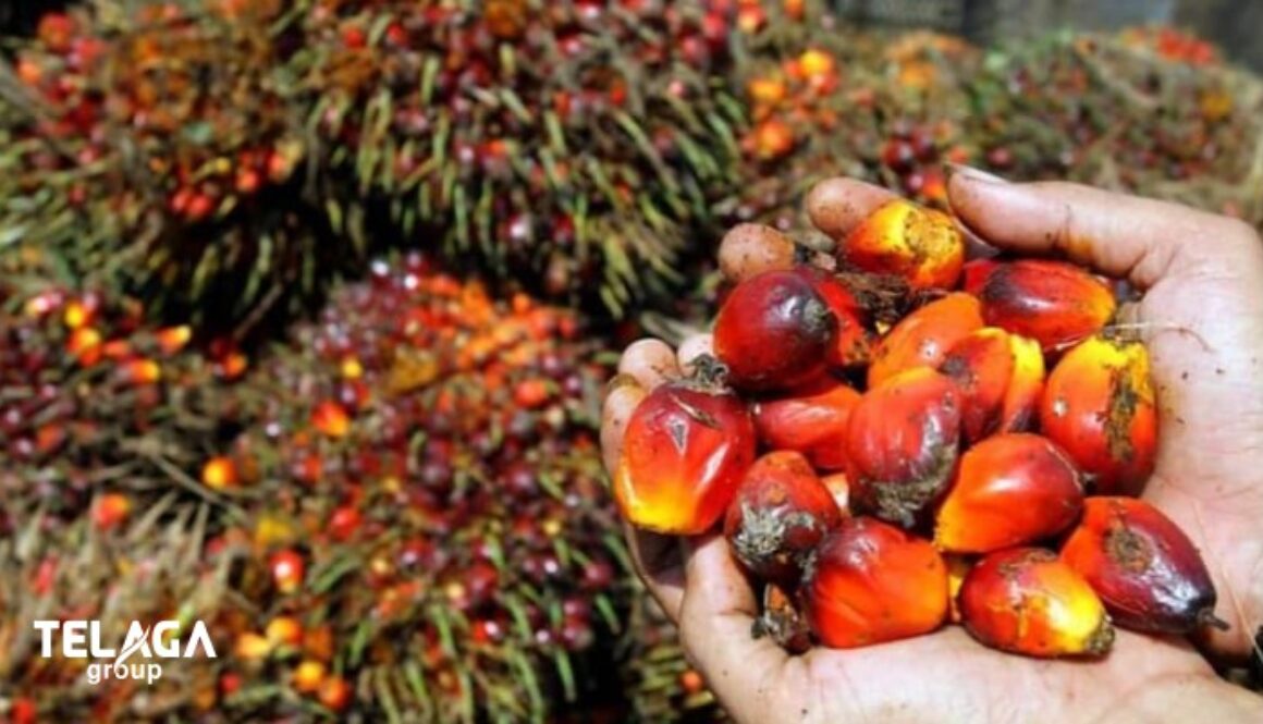 Peran Telaga Group dalam Pengembangan Industri Kelapa Sawit Berkelanjutan di Indonesia